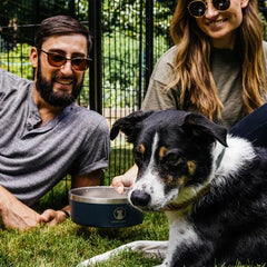 Lucky Dog Indulge 5, Double Wall 5 Cup Stainless Steel Dog Bowl, 2-pack - USA MEGA SHOP