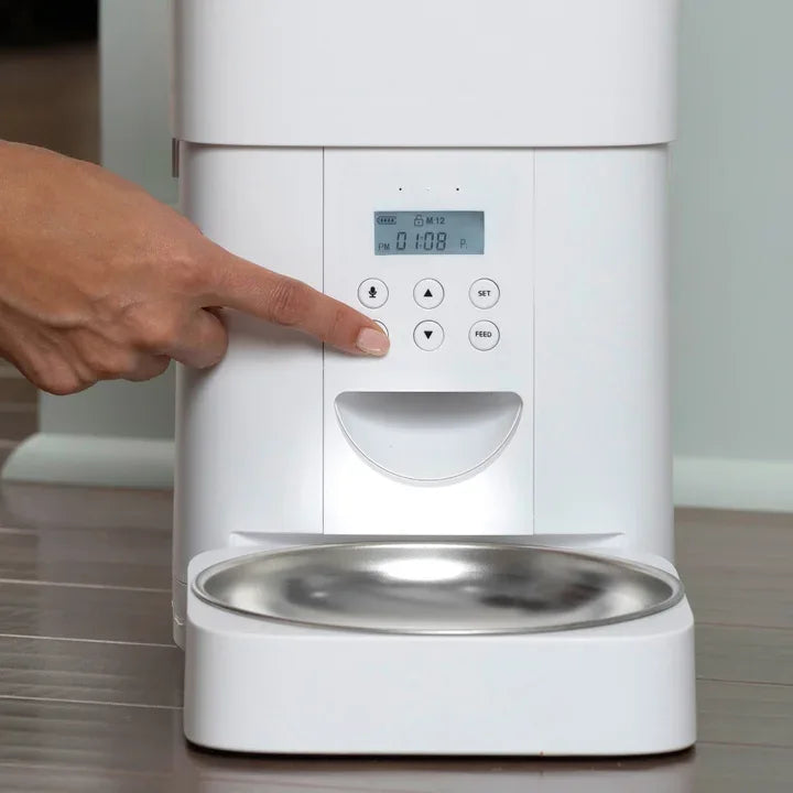 PetSafe FlexFeed Automatic Pet Feeder Bundle - USA MEGA SHOP
