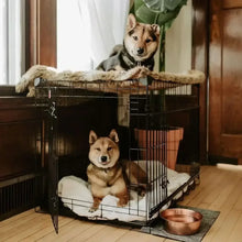 Black wire dog crate with swing-open front and removable tray base