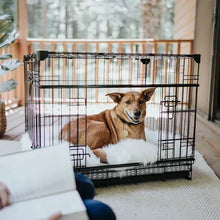 Black wire dog crate with front door and padded floor tray