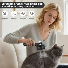 Black steam pet brush with oval bristle head and spray mist nozzle