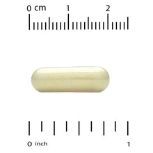Fisetin 100 mg veggie capsule, pale yellow capsule shown with measurement scale