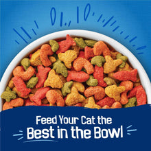 Dry cat food kibble in a bowl, red and green pieces
