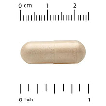 Vegetarian supplement capsule in beige, shown with measurement scales
