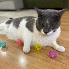 Lattice cat jingle bell balls, 4-pack with blue, pink, yellow, and purple balls