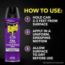 Raid flea carpet and room spray bottle with three-step application instructions.