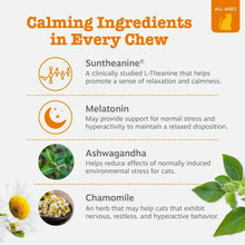 Cat calming bite treats ingredient graphic with Suntheanine, Melatonin, Ashwagandha, Chamomile