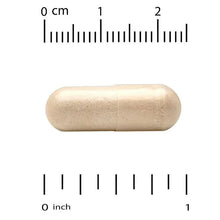 Veggie supplement capsule shown with measurement scale