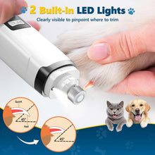 Pet nail grinder with LED light and cylindrical grinding bit for trimming dog paws