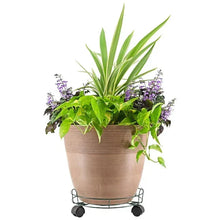 Green wire plant caddy with wheels supporting a terracotta planter and flowers