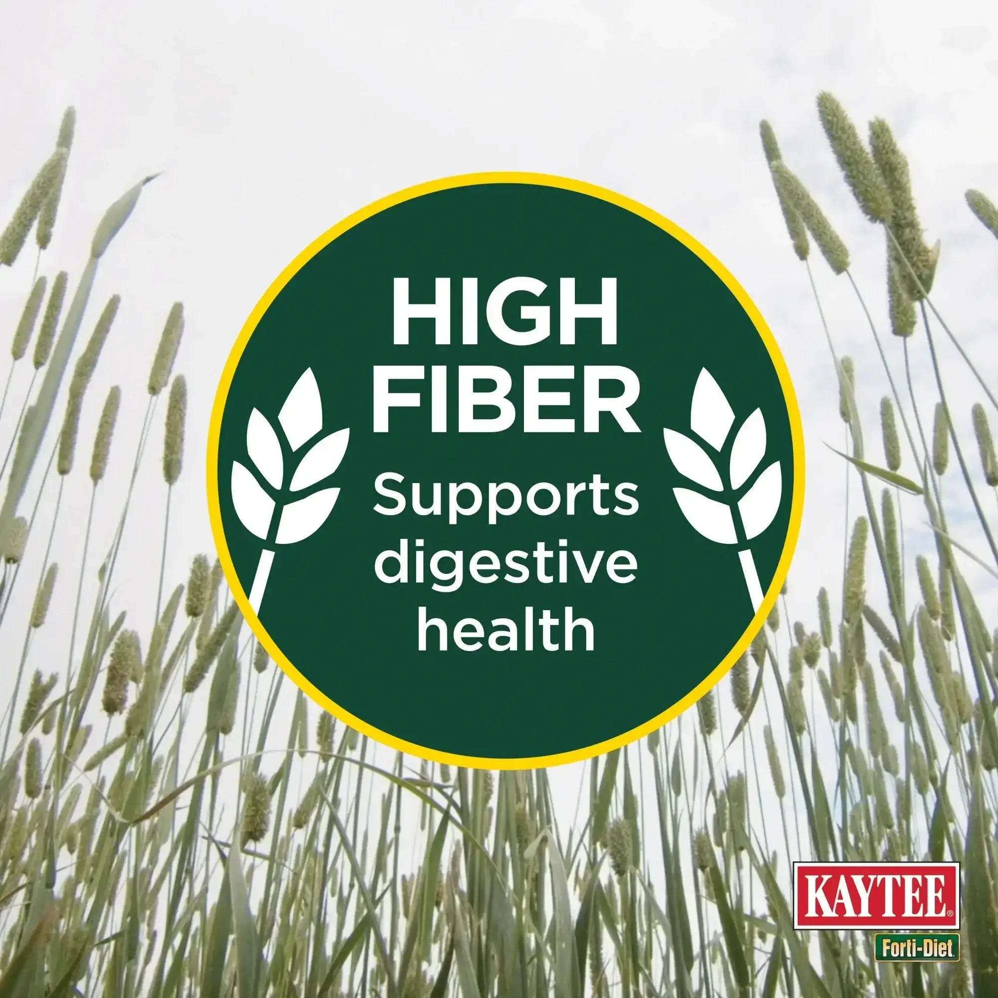 Kaytee Forti-Diet All Natural Timothy Hay , 96 ounce - USA MEGA SHOP