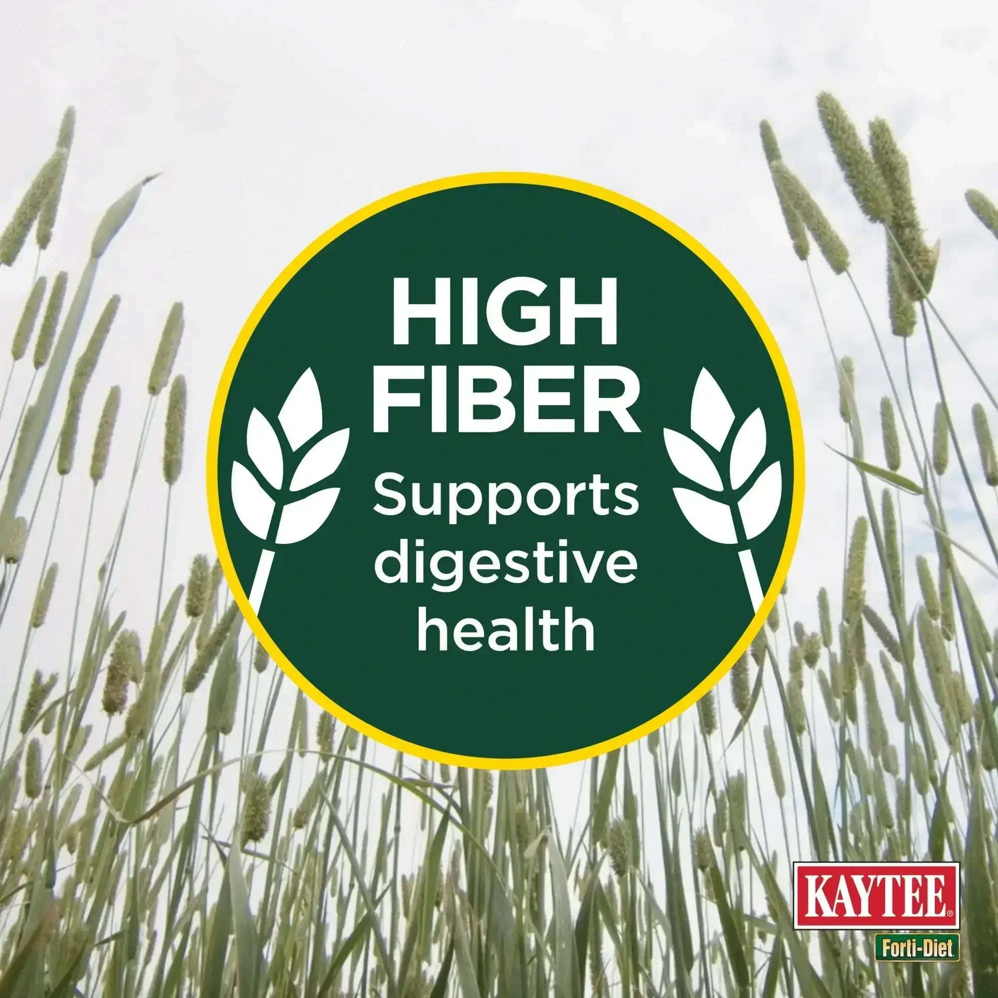 Kaytee Forti-Diet All Natural Timothy Hay , 96 ounce