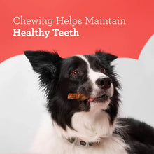 Dog portrait with healthy teeth chewing message