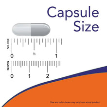 Capsule size diagram with white veg capsule and inch and centimeter rulers