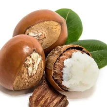 Shea butter nuts with green leaves, open and half-cut pieces