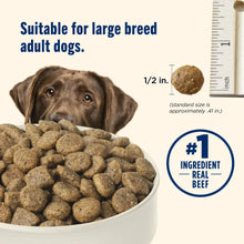 Large-breed kibble in bowl with real beef ingredient badge and size reference