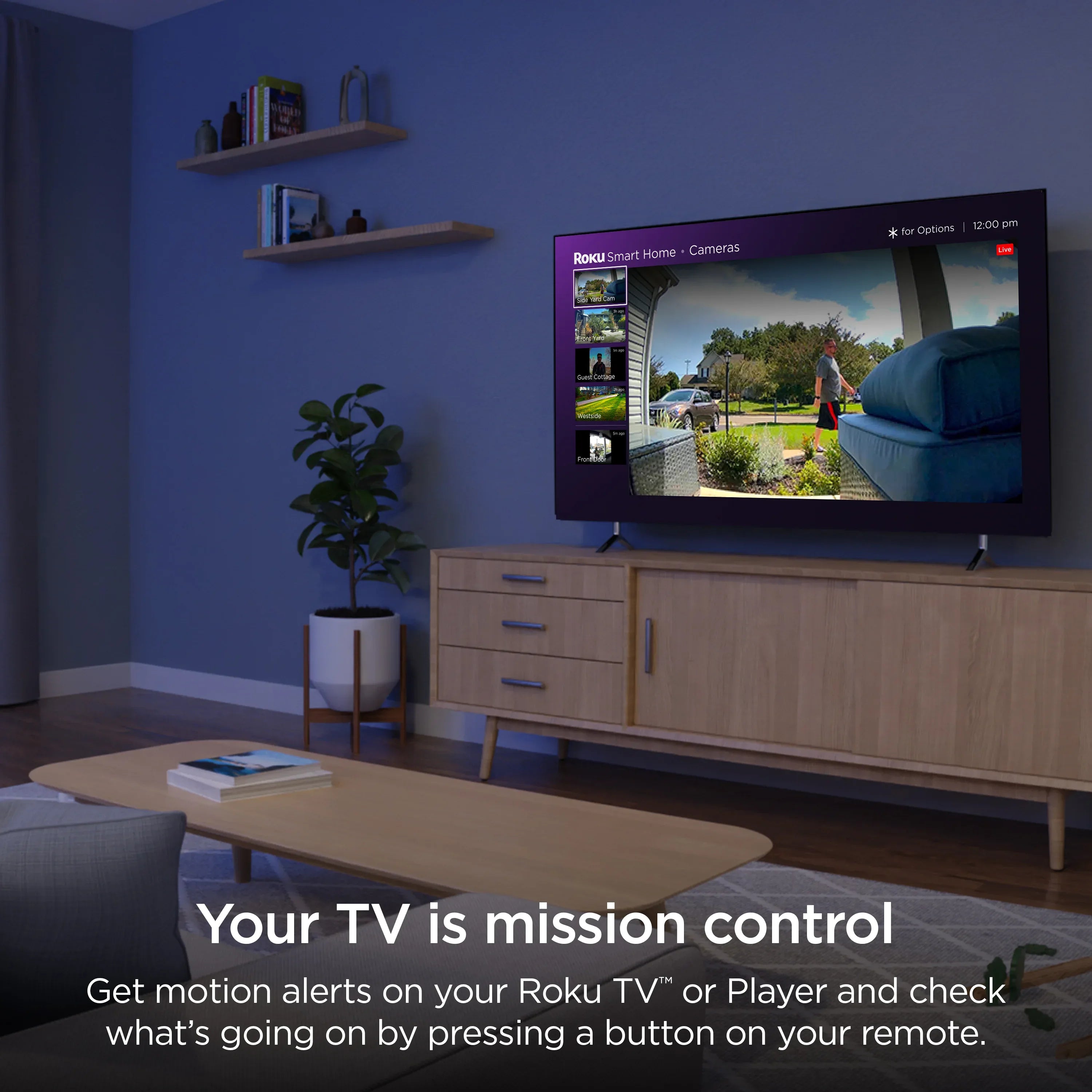 Roku Wire-Free Video Doorbell & Chime SE (1-Pack) with Motion & Sound Detection - Voice Control