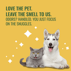 Citrus Magic Pet Deodorizing Solid Air Freshener for Pet Homes, Fresh Citrus - 8 oz