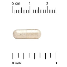 Spermidine veggie capsule pair next to metric and inch measurement marks