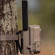 Cellular trail camera mounted on tree with black antenna and beige housing
