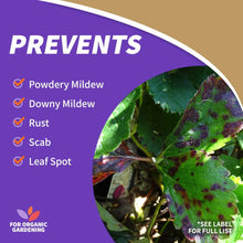 Neem oil spray label listing plant disease prevention like powdery mildew and rust