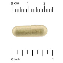 Vegetable capsule for liposomal vitamin C+, pale beige, shown next to measuring marks