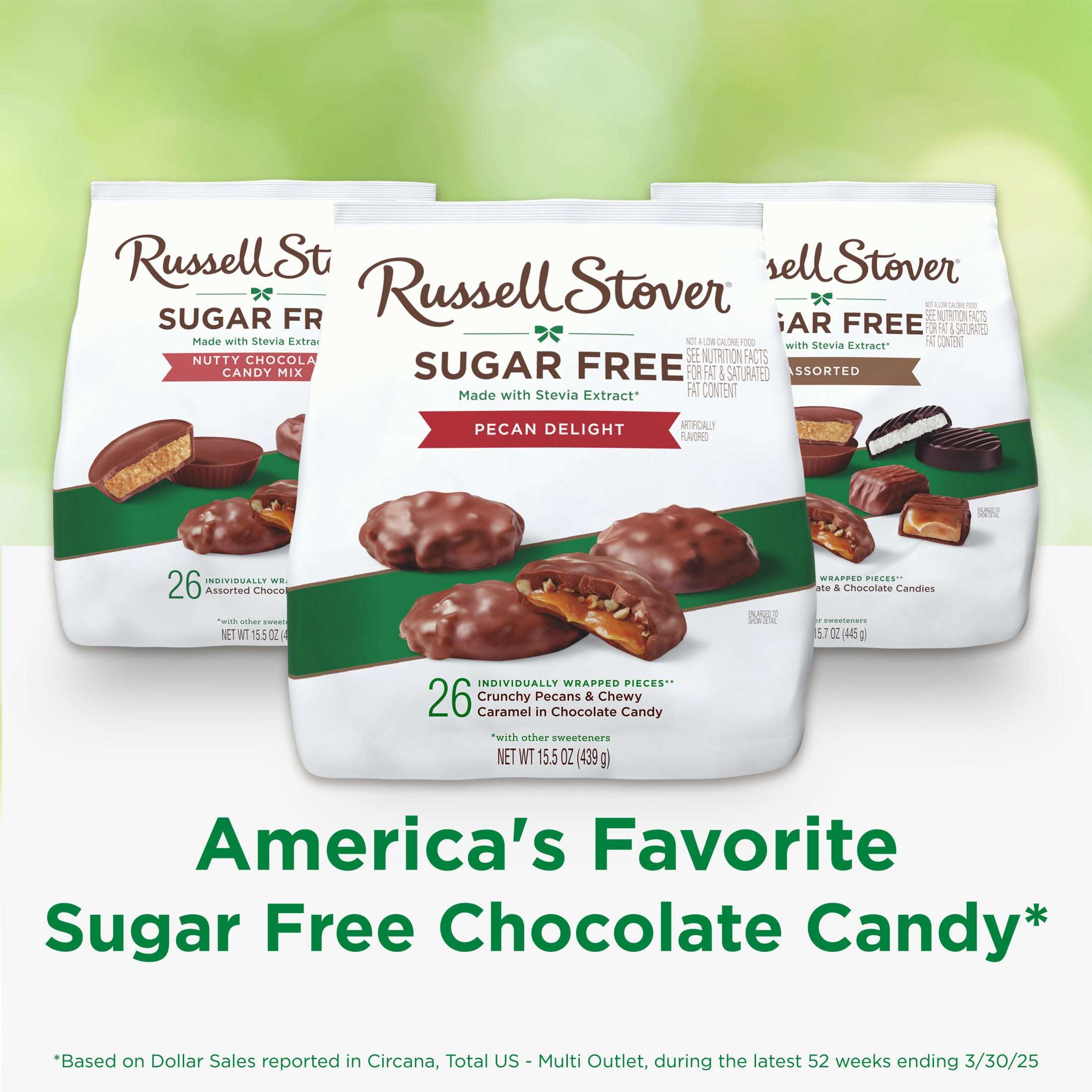 RUSSELL STOVER Sugar Free Pecan Delight Chocolate Candy, 15.5 oz. bag