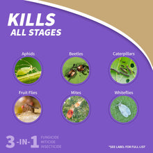 Neem oil spray label showing pest targets and 3-in-1 fungicide miticide insecticide