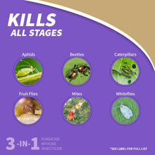 Kills all stages chart for neem oil spray, lists aphids, beetles, caterpillars, mites, whiteflies.