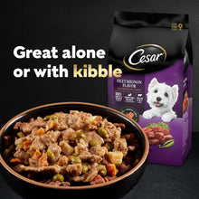 Wet dog food serving with Cesar kibble bag