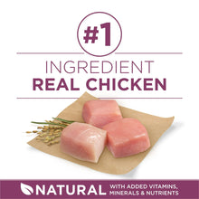 Dry dog food package graphic: real chicken ingredient with #1 badge