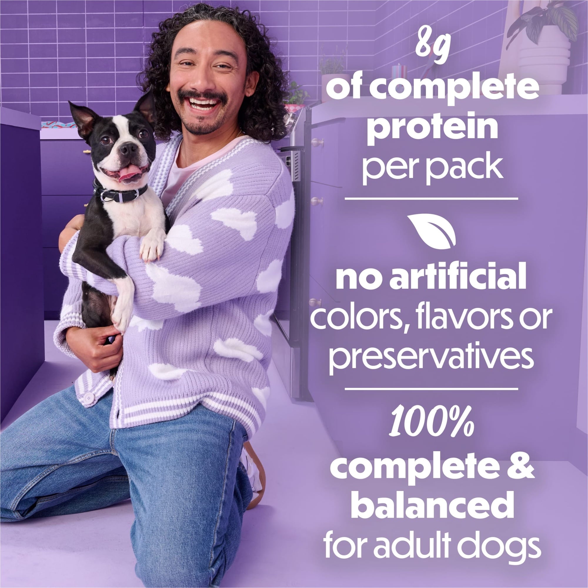 Purina Beneful Kitchen Creations With Beef and Garden Veggies in Sauce Wet Dog Food, 3 oz, 8 Pack