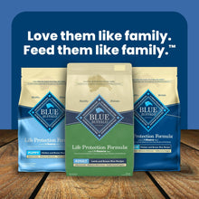 Blue Buffalo Life Protection Formula dry dog food bags, front view