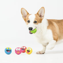 Small dog holding a green squeaky buddy dog toy ball
