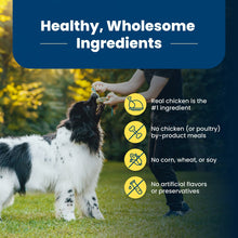 Blue Buffalo Life Protection Formula healthy wholesome ingredients icons on dog food bag
