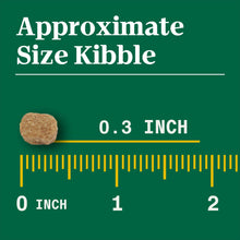 Dry dog food kibble size sample beside ruler graphic