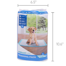 Large pet training pad package with blue border and sitting dog illustration