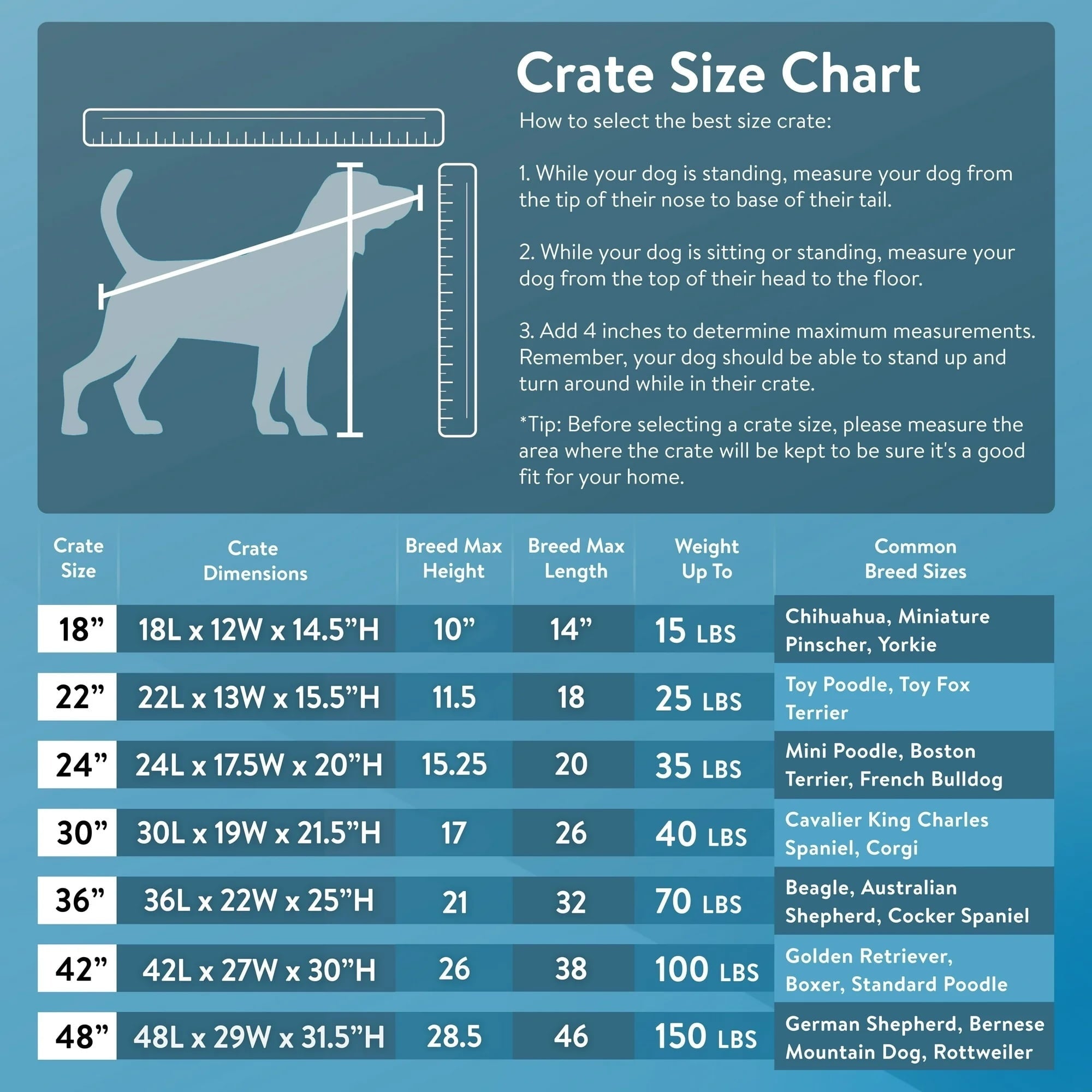 Vibrant Life Foldable 22" Wire Crate for Dogs with Divider and Leak-Proof Tray