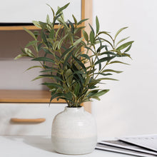 Artificial olive plant in two-tone ceramic vase with speckled finish