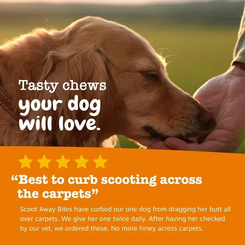 Zesty Paws Scoot Away Bites for Dogs, Digestive Support Functional Dog Supplement, Chicken Flavor, 90 Count Soft Chews - USA MEGA SHOP