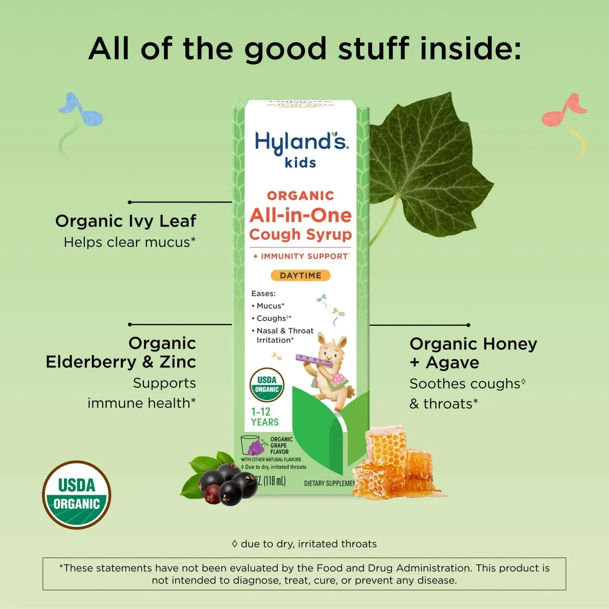 Hyland's Kids Organic All-in-One Cough Syrup, Daytime, Ages 1–12, 4 fl oz