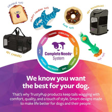 Black pet carrier with pet toys shown around the carrier