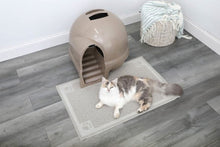 Enclosed cat litter box with dome hood and steps, cat resting nearby on floor mat