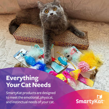 Interactive cat toy set with multiple feather and plush toys around a cat