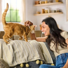 Cat food lifestyle: cat and owner on couch, no bag visible