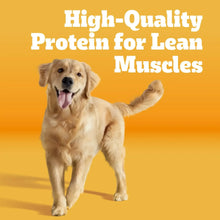 High-protein dry dog food promotion with golden retriever