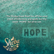 Sheba Hope Reef promotional graphic with Hope lettering and Sheba logo