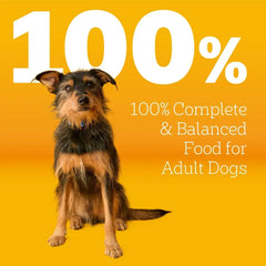 Pedigree Complete Nutrition Adult Dry Dog Food, Grilled Steak & Vegetable Flavor