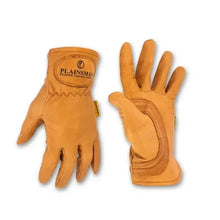 Brown cabretta leather gloves, one palm up and one back view, stitched cuff