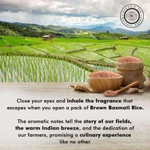 Rice fields with burlap sacks of brown basmati rice and wooden scoops